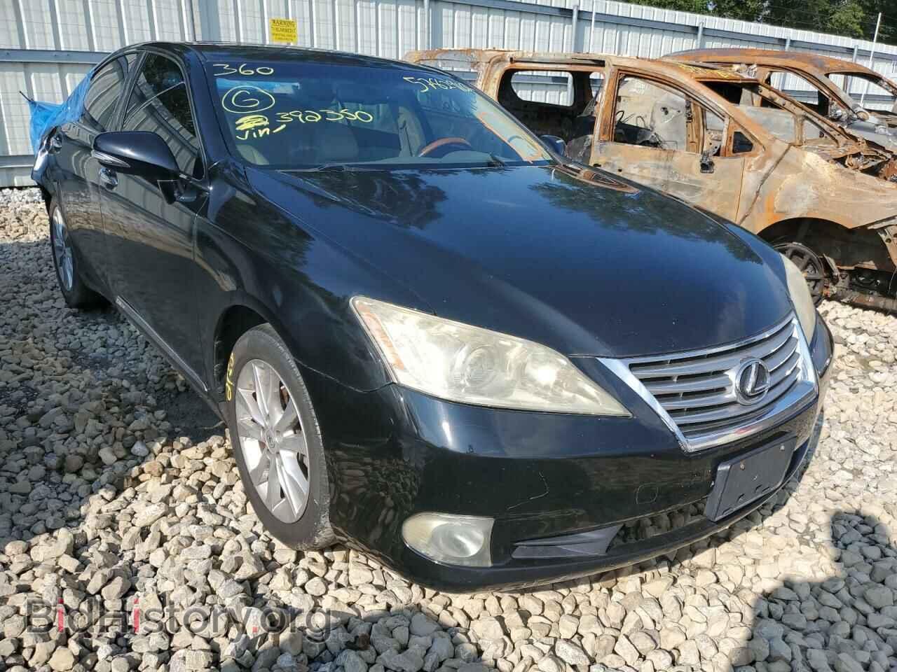 Фотография JTHBK1EG7A2392350 - LEXUS ES350 2010
