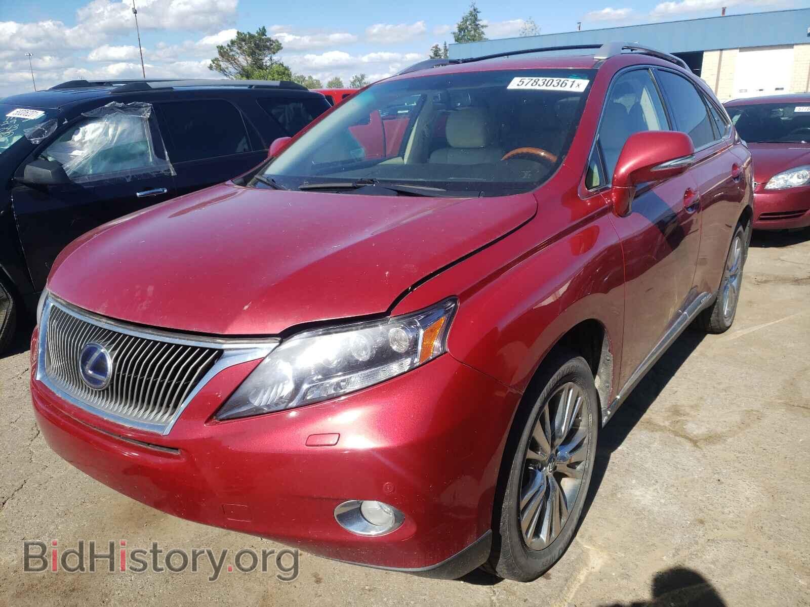 2011 LEXUS RX450 - VIN: JTJBC1BA7B2037482 - Фото 2