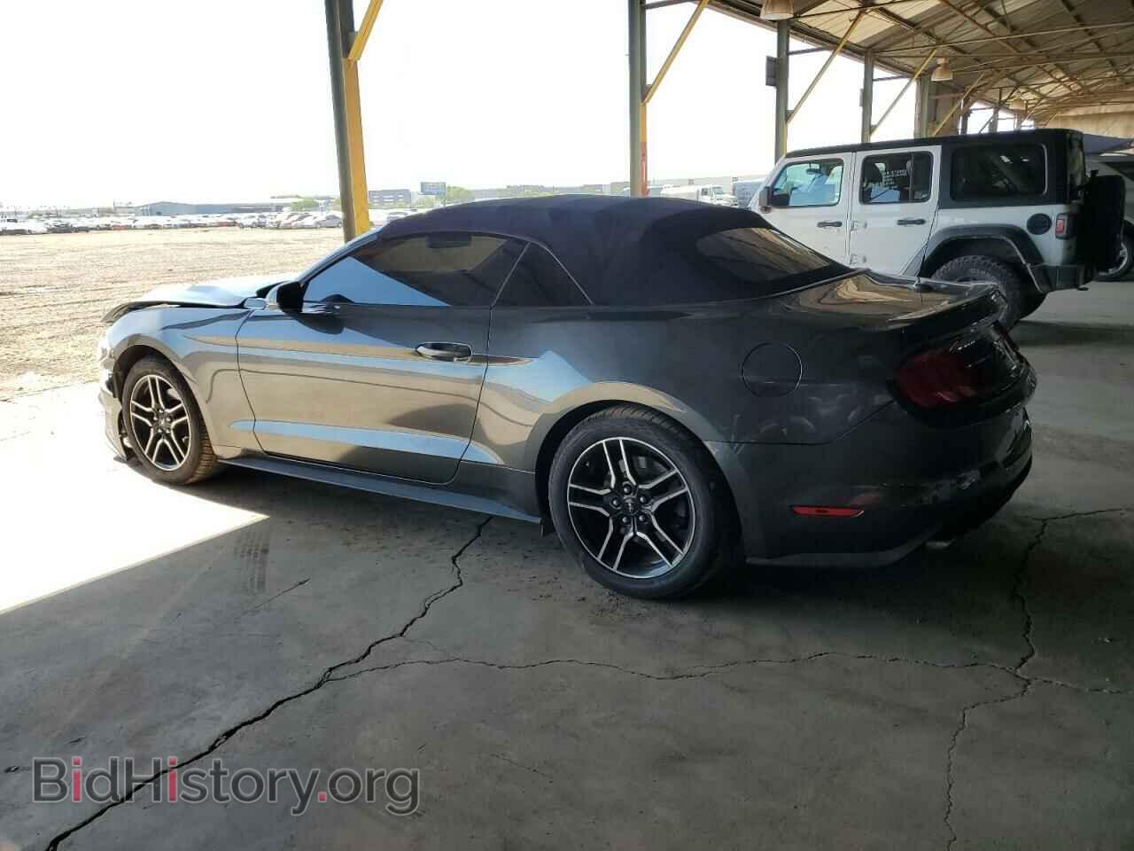 2019 FORD ALL Models - VIN: 1FATP8UH6K5148656 - Photo 2