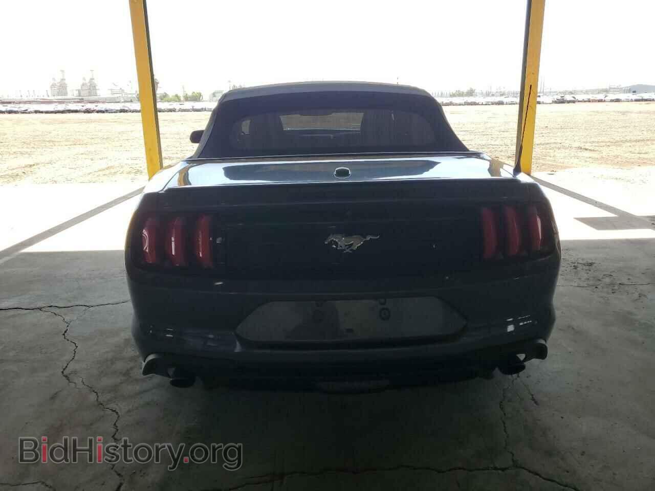2019 FORD ALL Models - VIN: 1FATP8UH6K5148656 - Photo 6