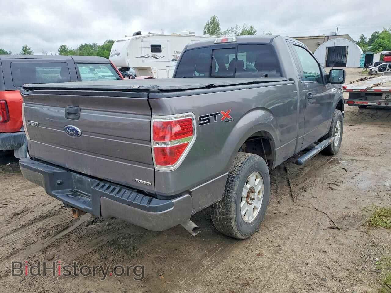 2013 FORD F150 - VIN: 1FTMF1EM0DKF16676 - Фото 3