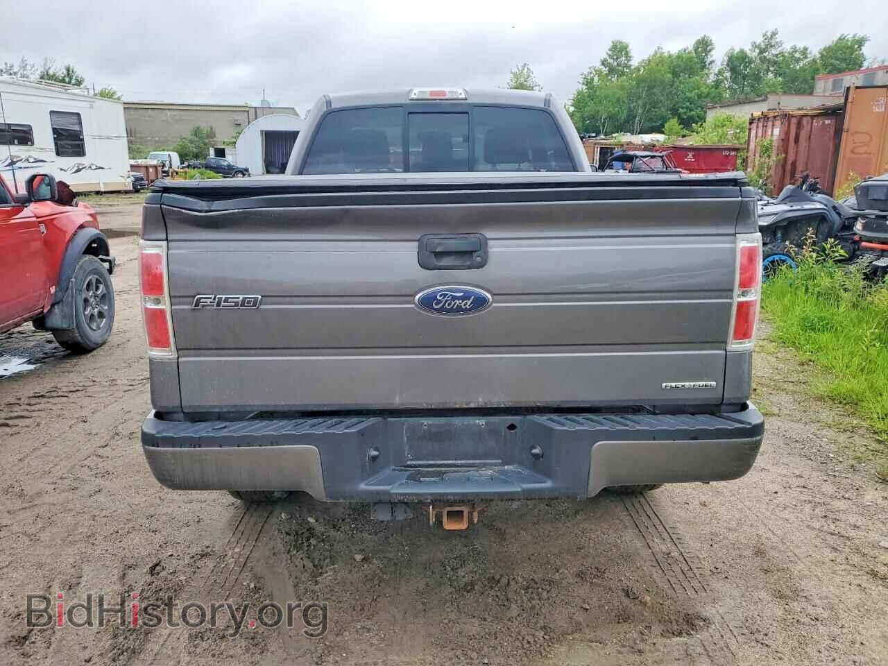 2013 FORD F150 - VIN: 1FTMF1EM0DKF16676 - Фото 6