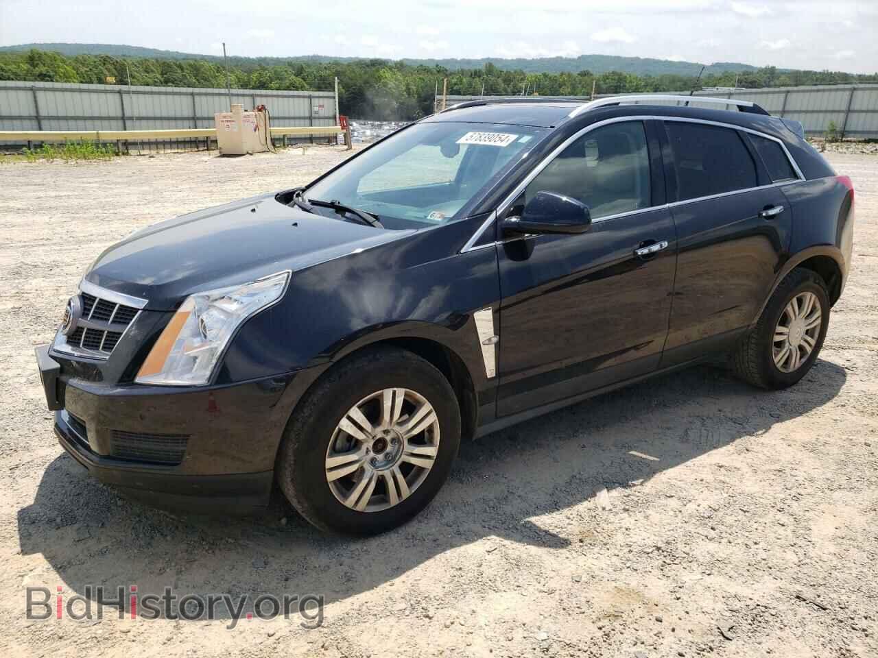 Фотография 3GYFNAEY6BS628862 - CADILLAC SRX 2011