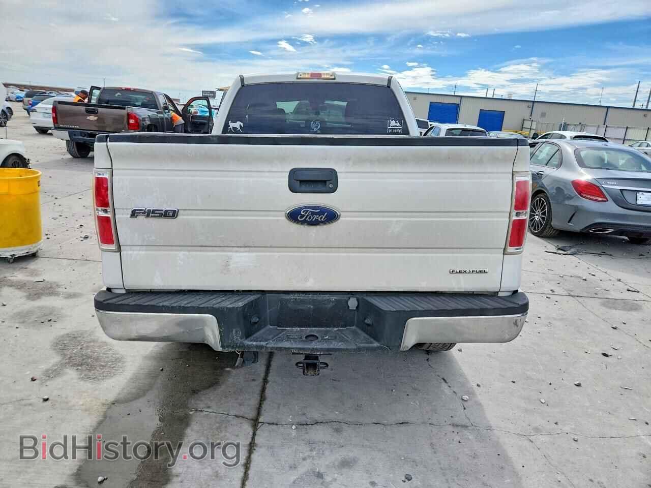 2013 FORD F150 - VIN: 1FTFX1EF1DKD10306 - Фото 6