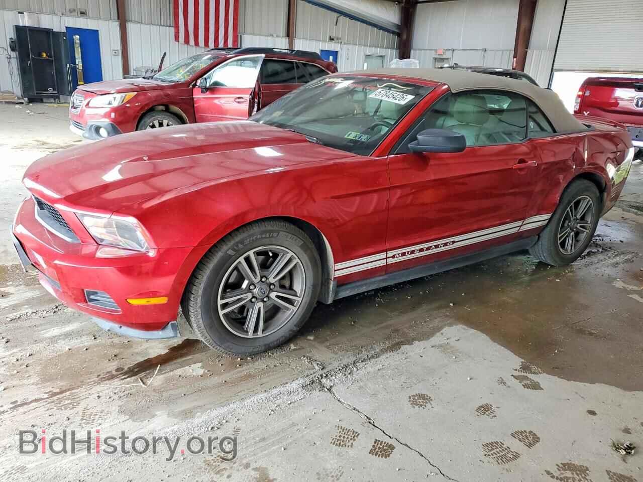 Фотография 1ZVBP8EM1C5286377 - FORD MUSTANG 2012