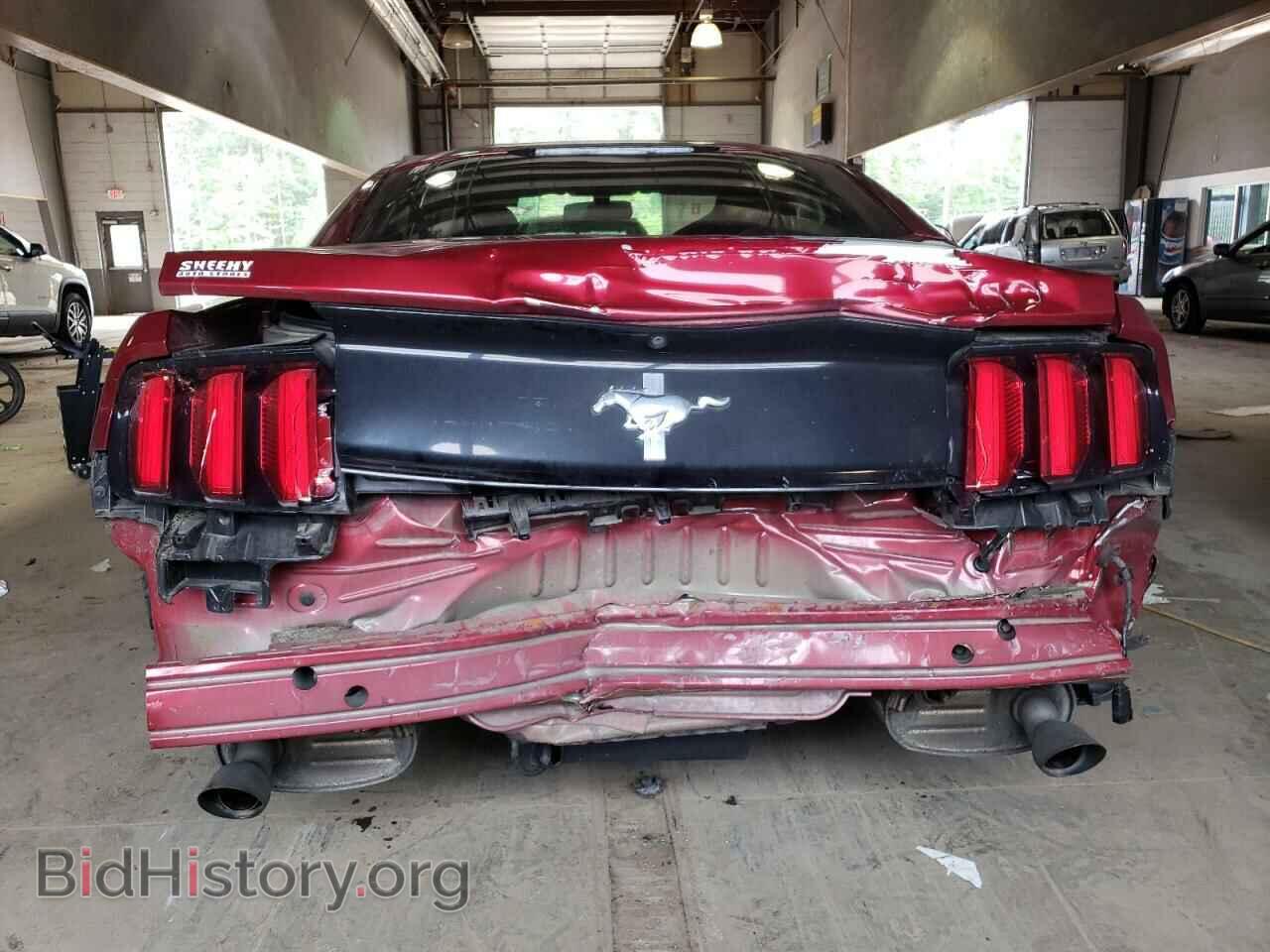 2017 FORD ALL Models - VIN: 1FA6P8AM2H5264203 - Photo 6