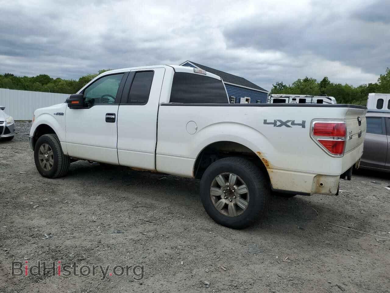 2011 FORD F150 - VIN: 1FTFX1EF6BFB40448 - Фото 2