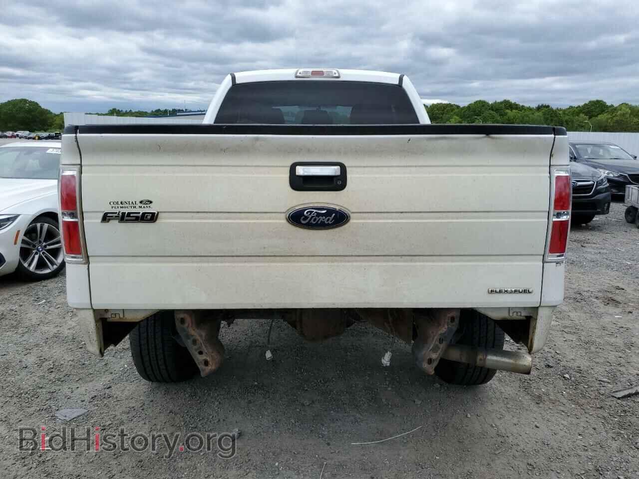 2011 FORD F150 - VIN: 1FTFX1EF6BFB40448 - Фото 6