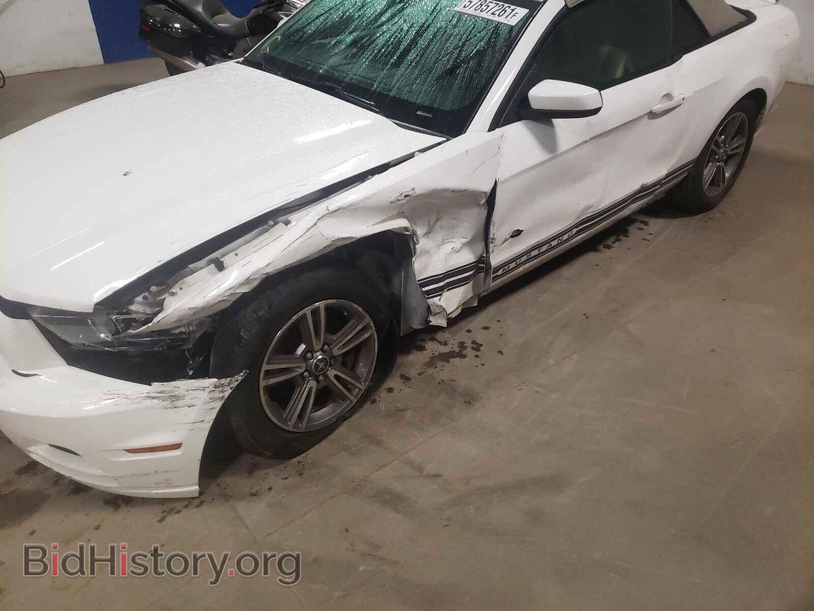 2013 FORD MUSTANG - VIN: 1ZVBP8EM5D5229293 - Фото 9
