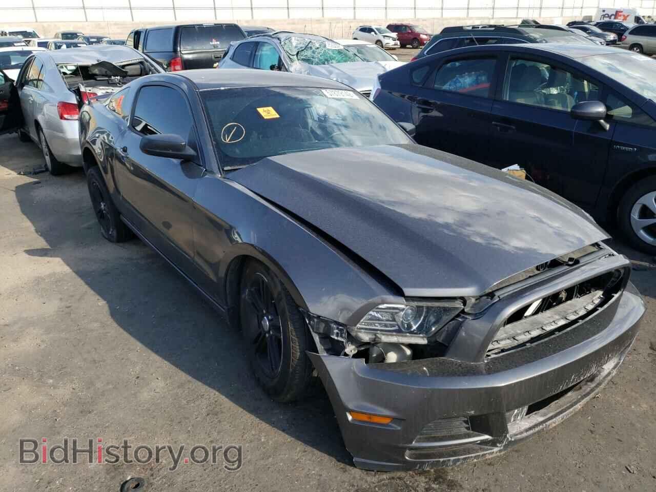 Фотография 1ZVBP8AMXD5221373 - FORD MUSTANG 2013