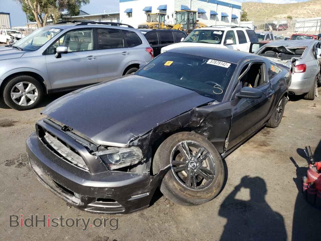 2013 FORD MUSTANG - VIN: 1ZVBP8AMXD5221373 - Фото 2