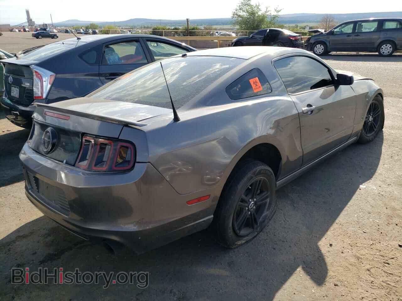 2013 FORD MUSTANG - VIN: 1ZVBP8AMXD5221373 - Фото 4