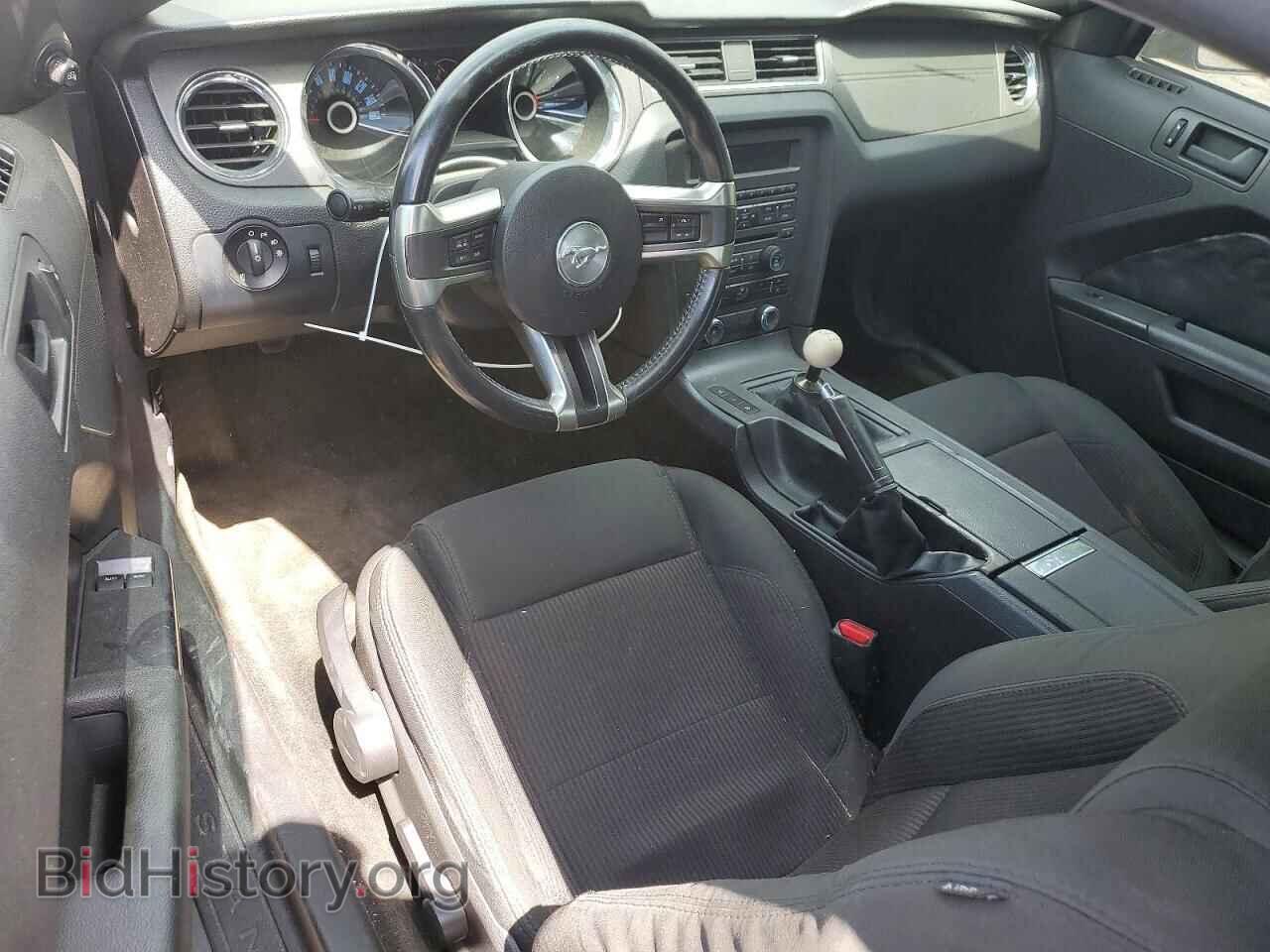 2014 FORD MUSTANG - VIN: 1ZVBP8CF9E5252324 - Фото 8