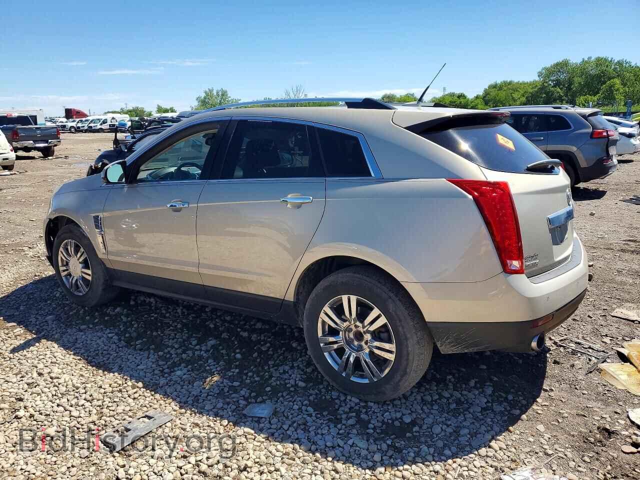 2012 CADILLAC SRX - VIN: 3GYFNAE30CS510103 - Фото 2