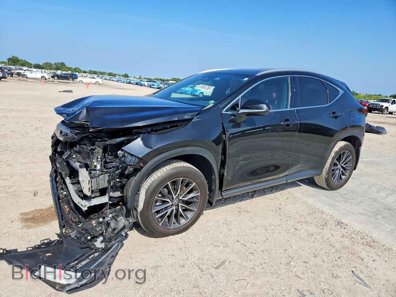 Фотография 2T2GDCAZ5RC007509 - LEXUS NX 2024