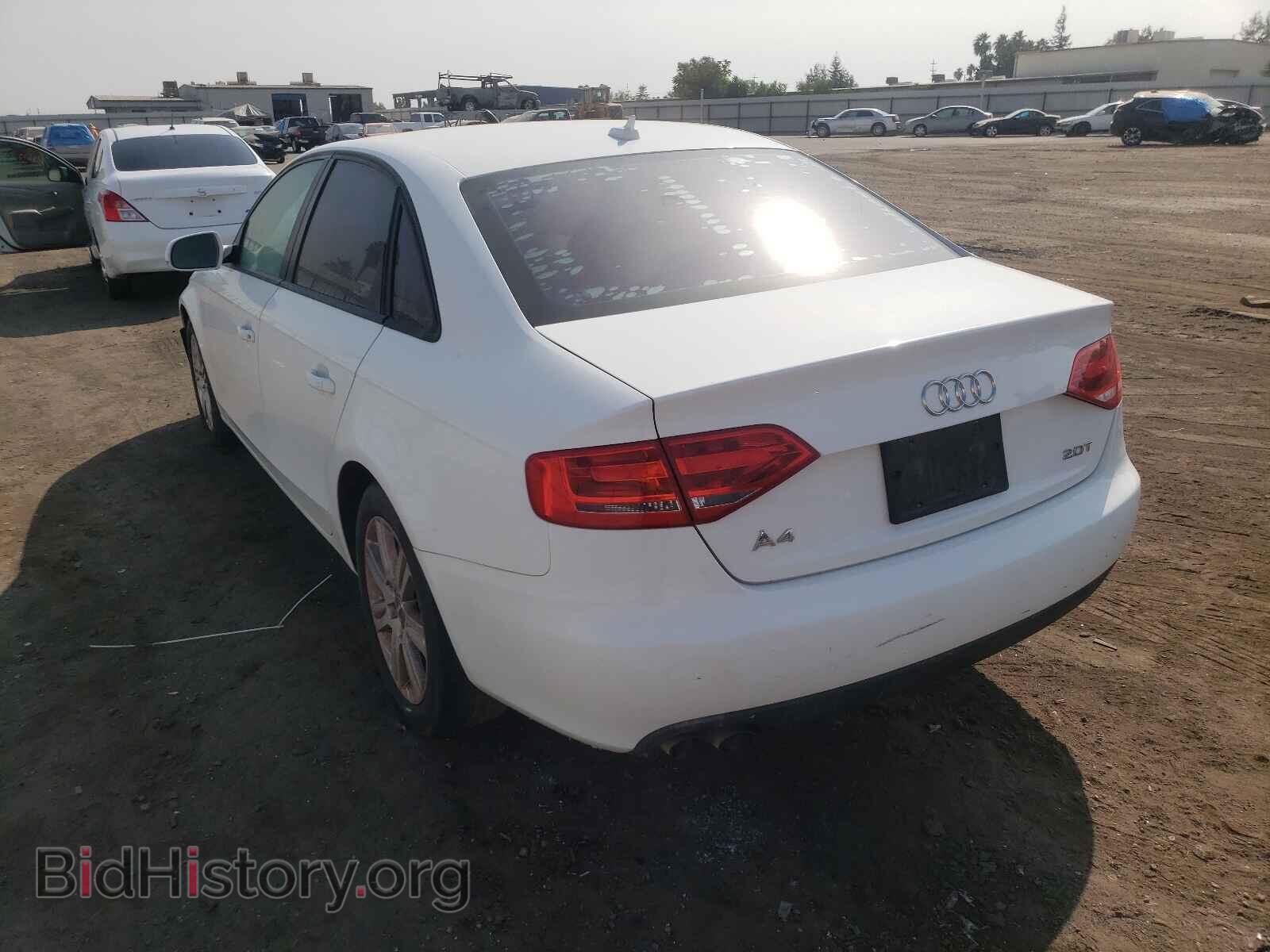 2011 AUDI A4 - VIN: WAUAFAFL3BN001771 - Фото 3