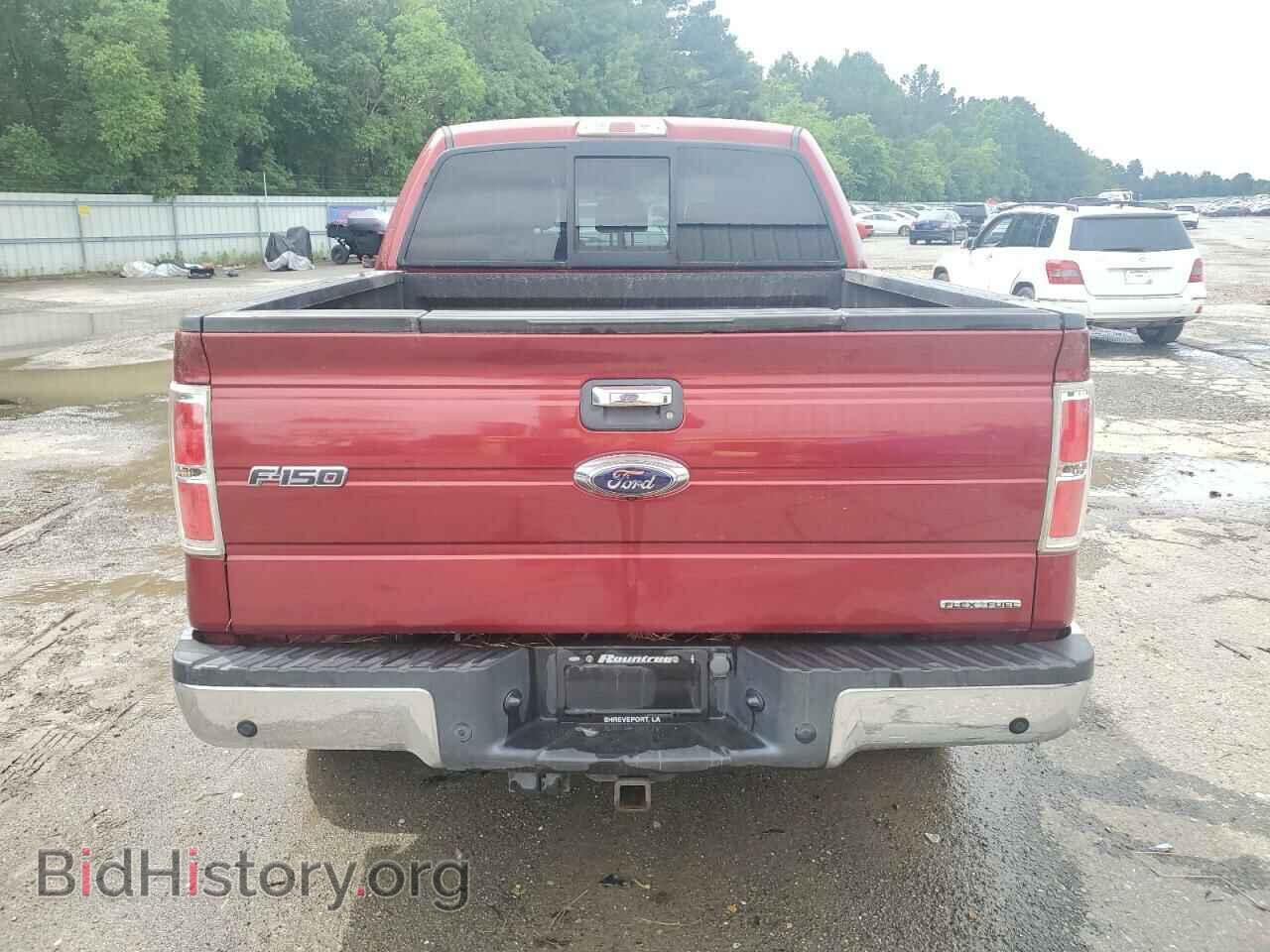 2013 FORD F-150 - VIN: 1FTFW1EF8DKD80582 - Фото 6