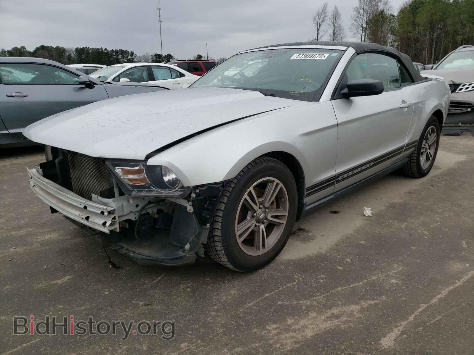 2011 FORD MUSTANG - VIN: 1ZVBP8EM1B5111299 - Фото 2