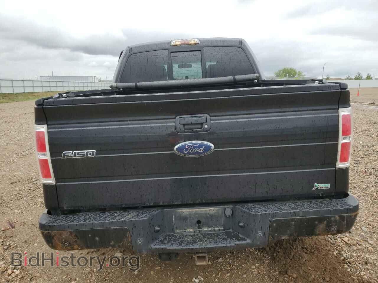 2010 FORD F-150 - VIN: 1FTFW1EV8AFA90581 - Фото 6