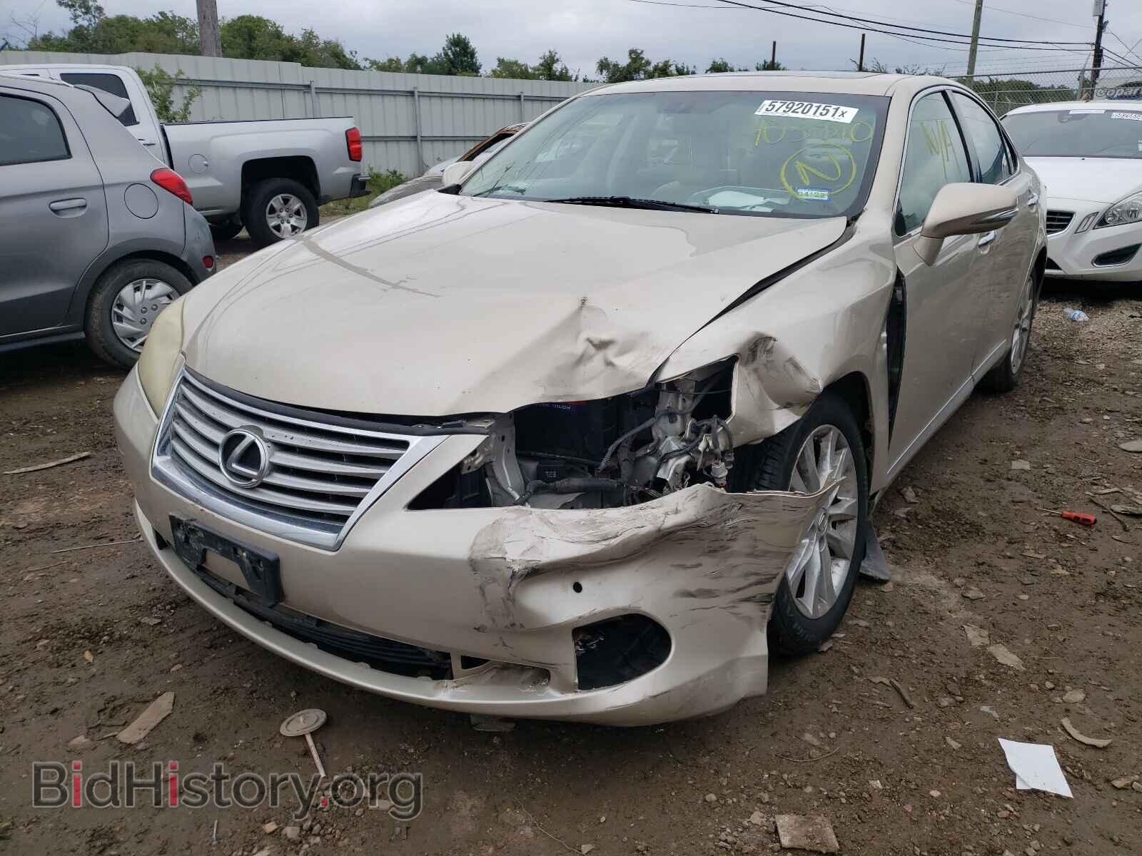 2010 LEXUS ES350 - VIN: JTHBK1EG6A2403810 - Фото 2