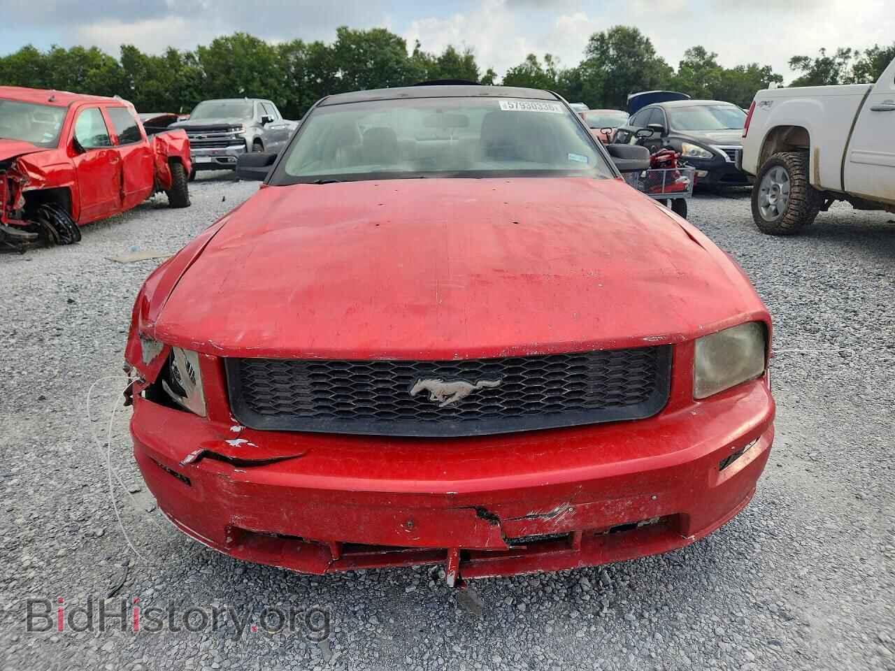 2005 FORD MUSTANG - VIN: 1ZVFT80N255237382 - Фото 5