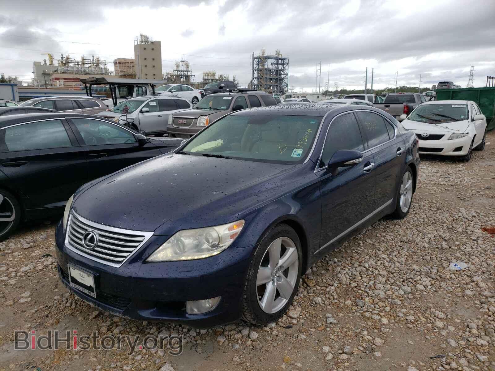 2010 LEXUS LS460 - VIN: JTHBL5EF7A5093161 - Фото 2