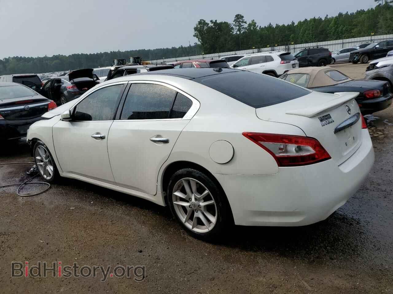 2009 NISSAN MAXIMA - VIN: 1N4AA51E39C823225 - Фото 2