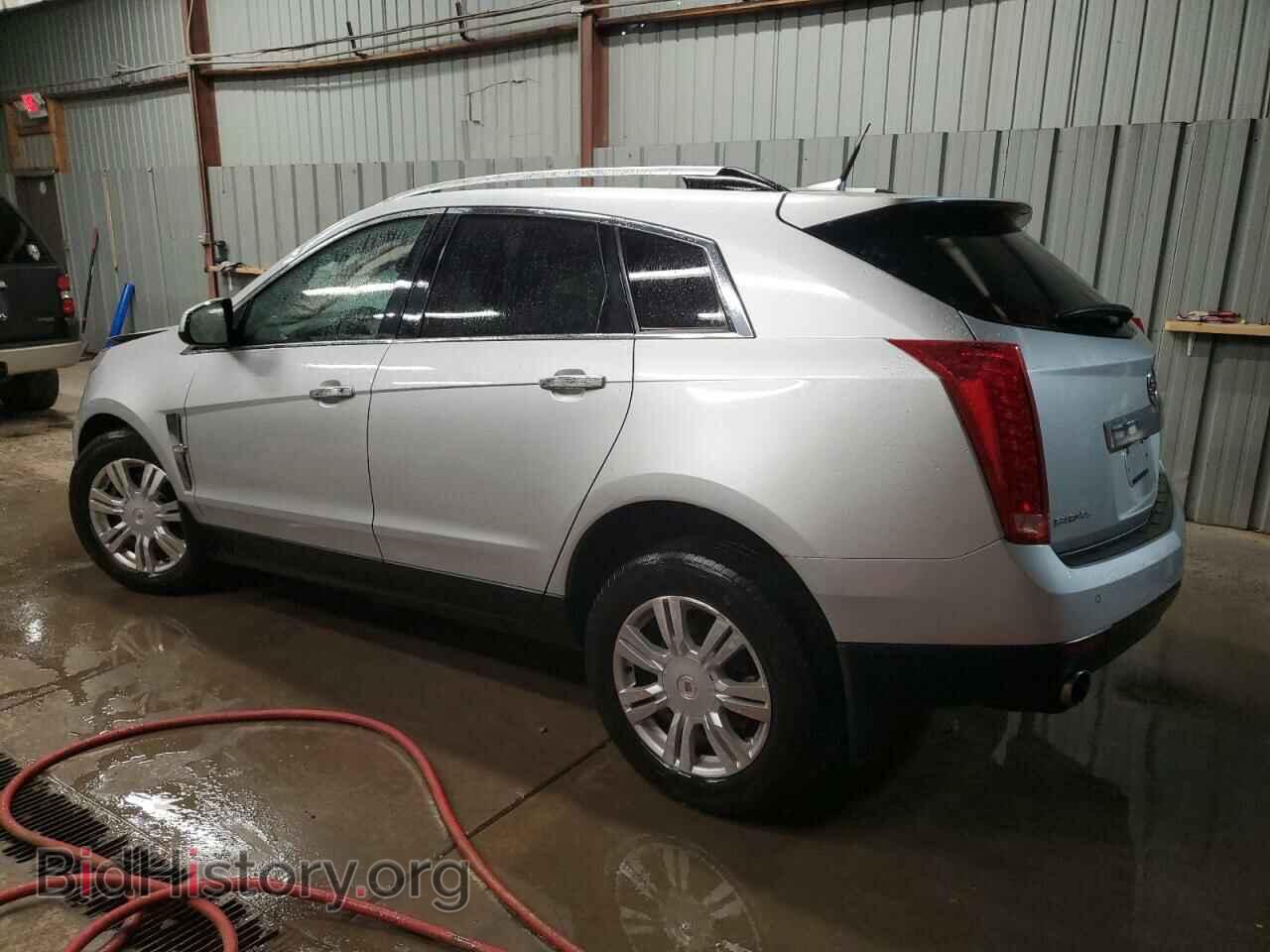 2011 CADILLAC SRX - VIN: 3GYFNDEYXBS576377 - Фото 2