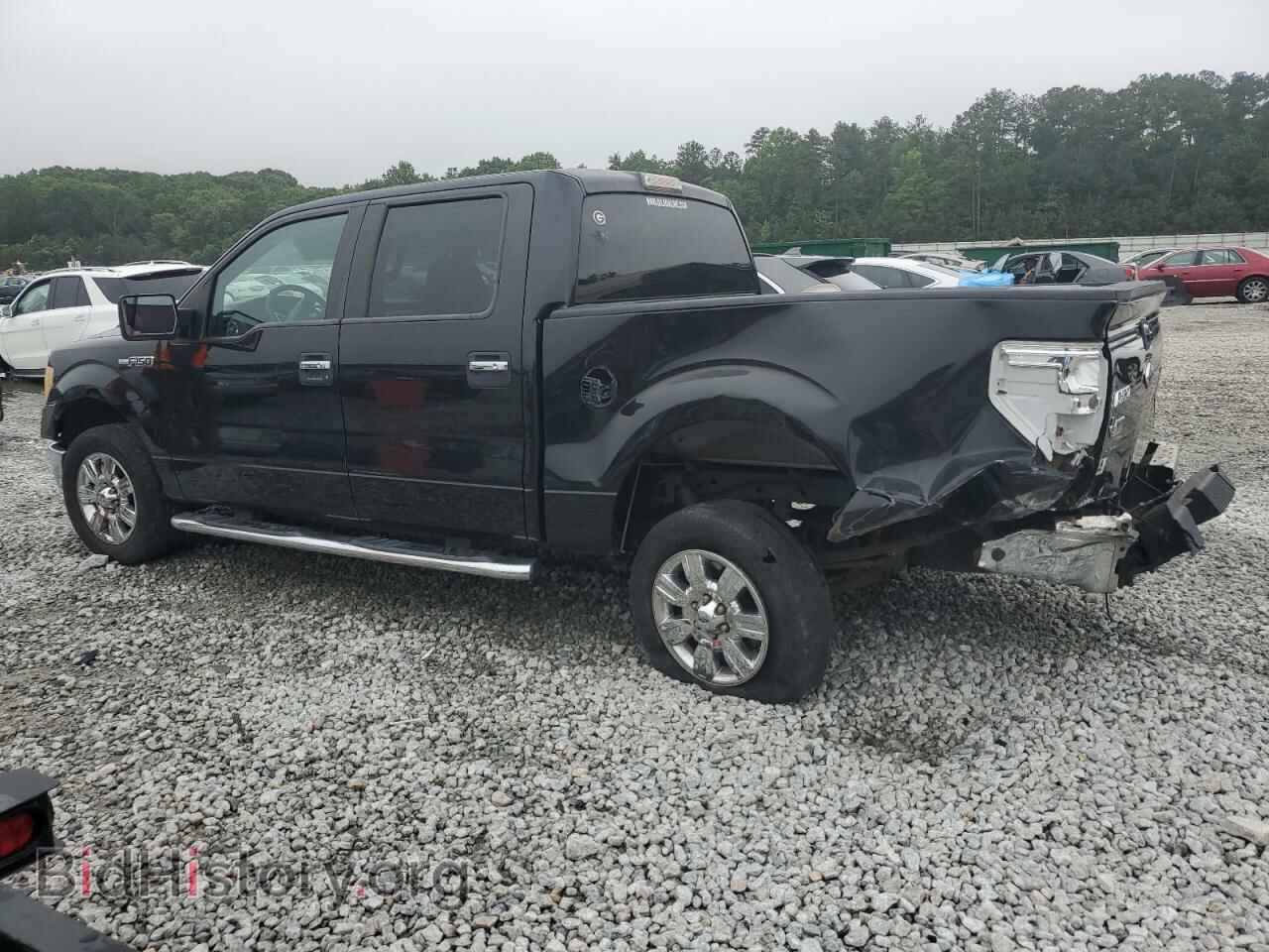 2010 FORD F-150 - VIN: 1FTEW1C80AKE36722 - Фото 2