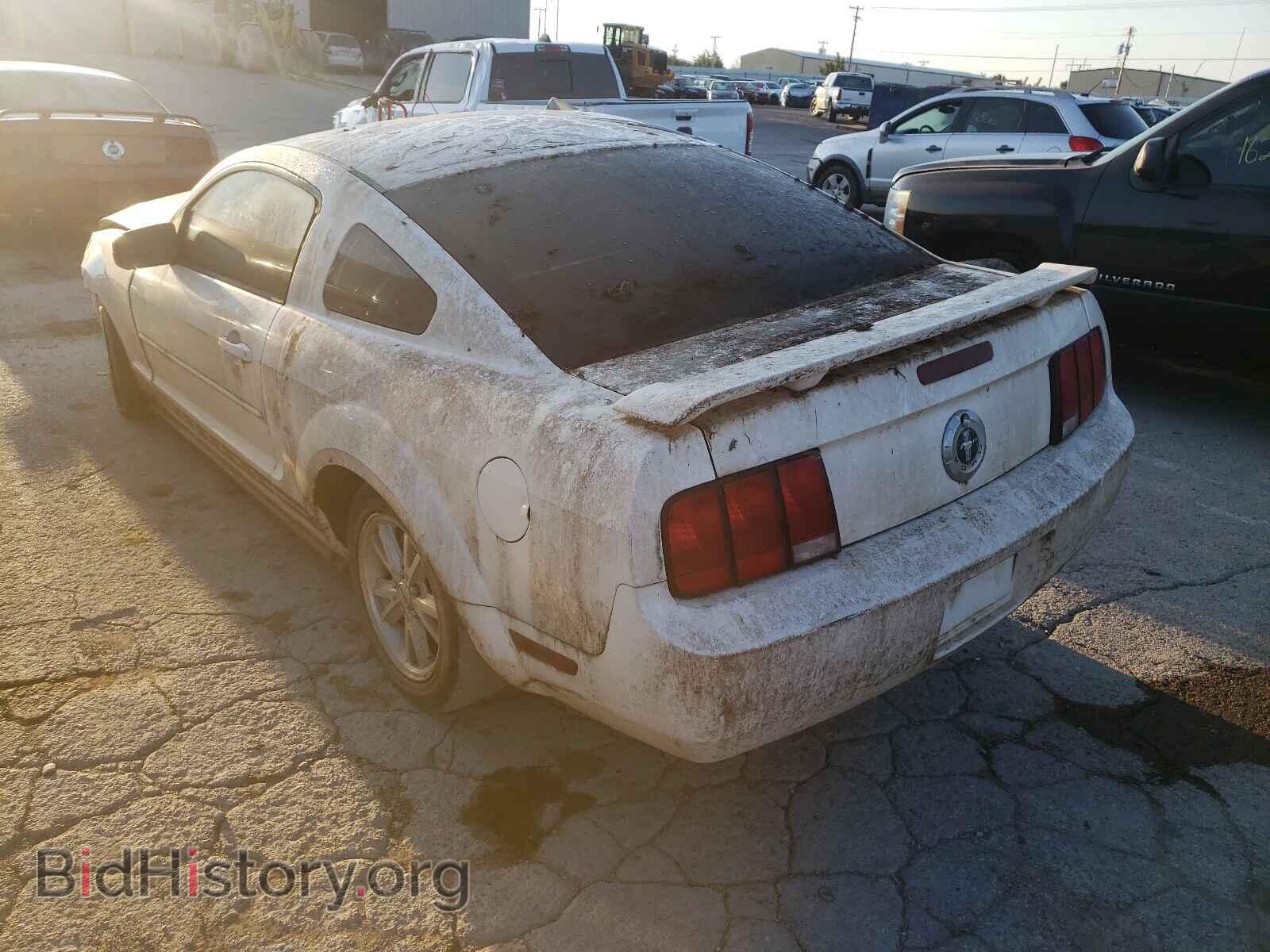 2006 FORD MUSTANG - VIN: 1ZVFT80NX65202106 - Фото 3