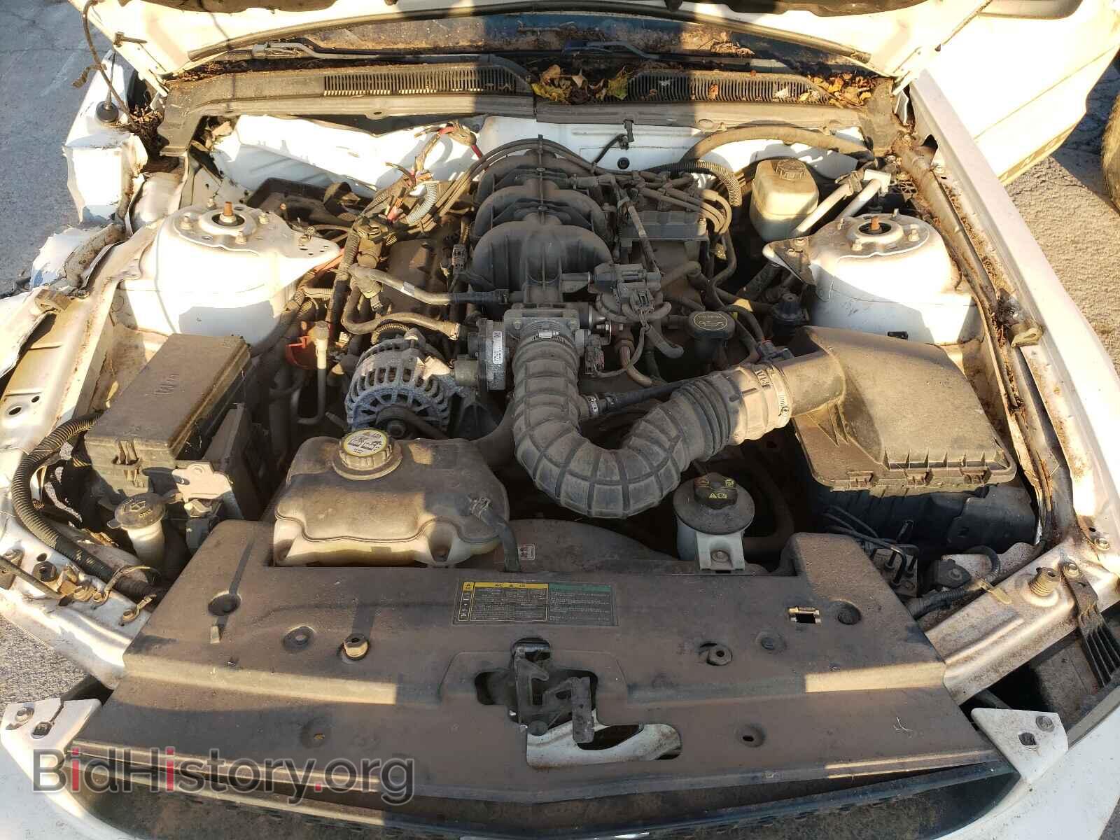 2006 FORD MUSTANG - VIN: 1ZVFT80NX65202106 - Фото 7