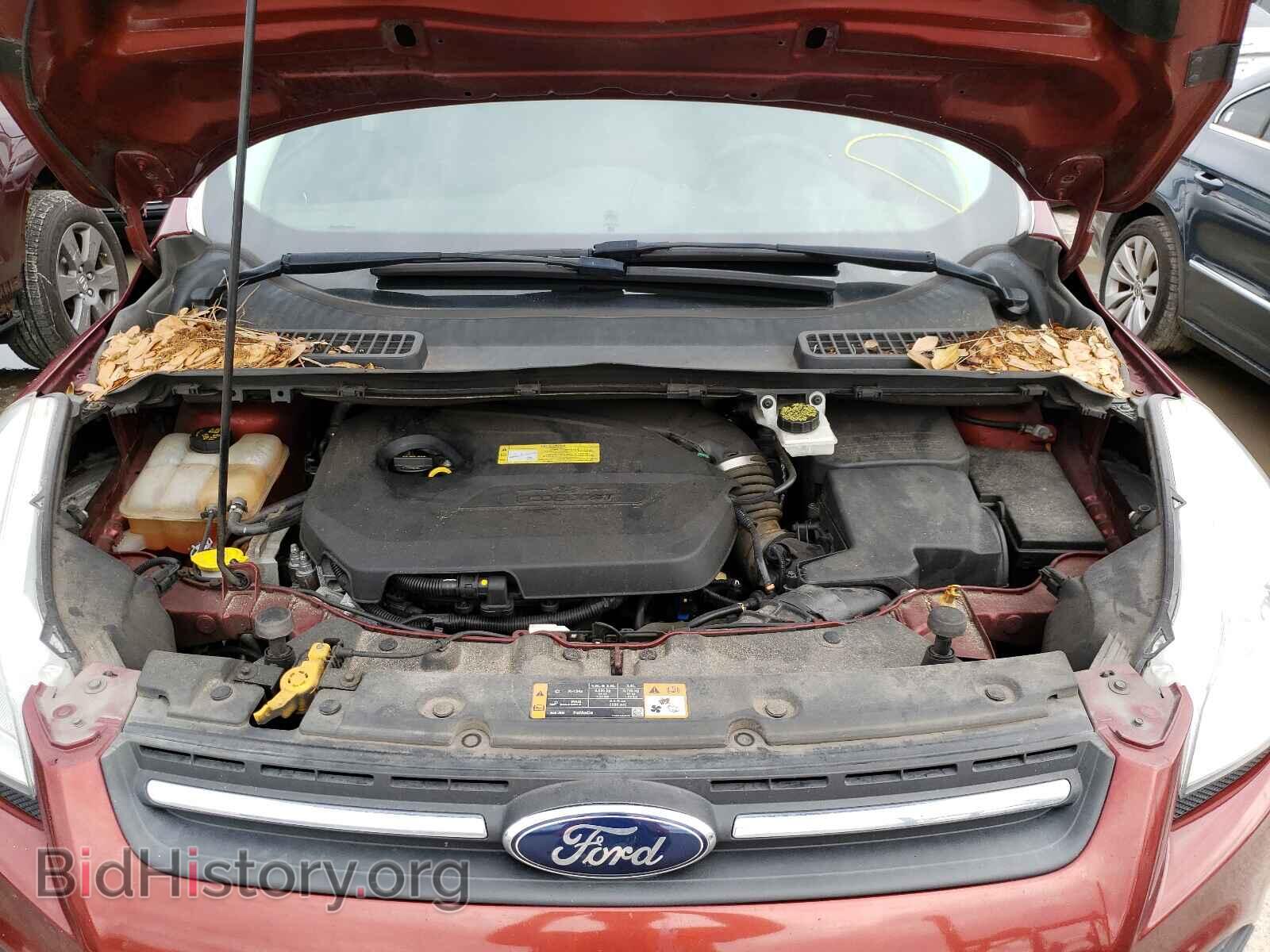2014 FORD ESCAPE - VIN: 1FMCU0GX8EUD07545 - Photo 7