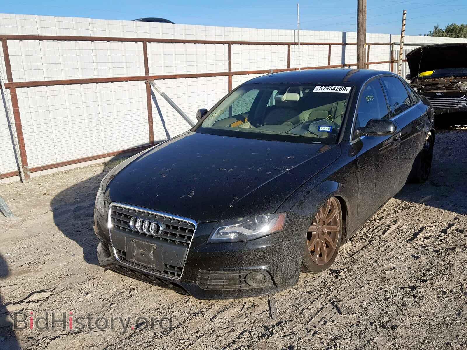 2010 AUDI A4 - VIN: WAUEFAFLXAN026327 - Фото 2