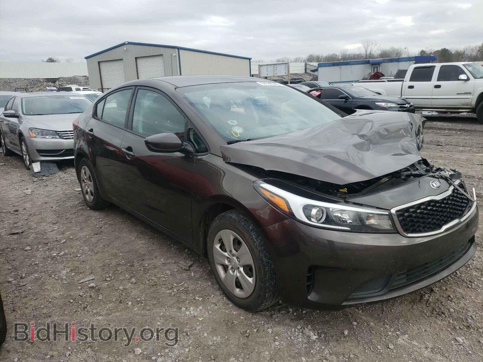 Photo 3KPFK4A75HE015829 - KIA FORTE 2017