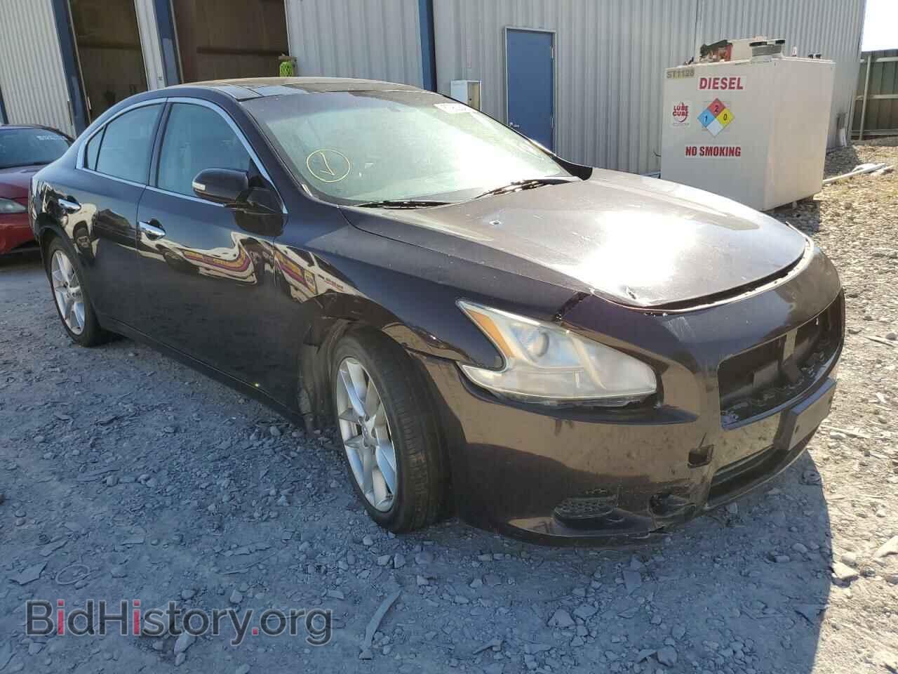 Фотография 1N4AA5AP8AC849809 - NISSAN MAXIMA 2010