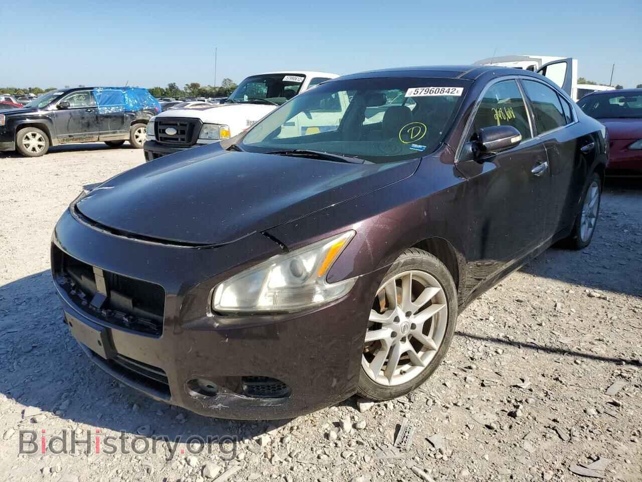 2010 NISSAN MAXIMA - VIN: 1N4AA5AP8AC849809 - Фото 2