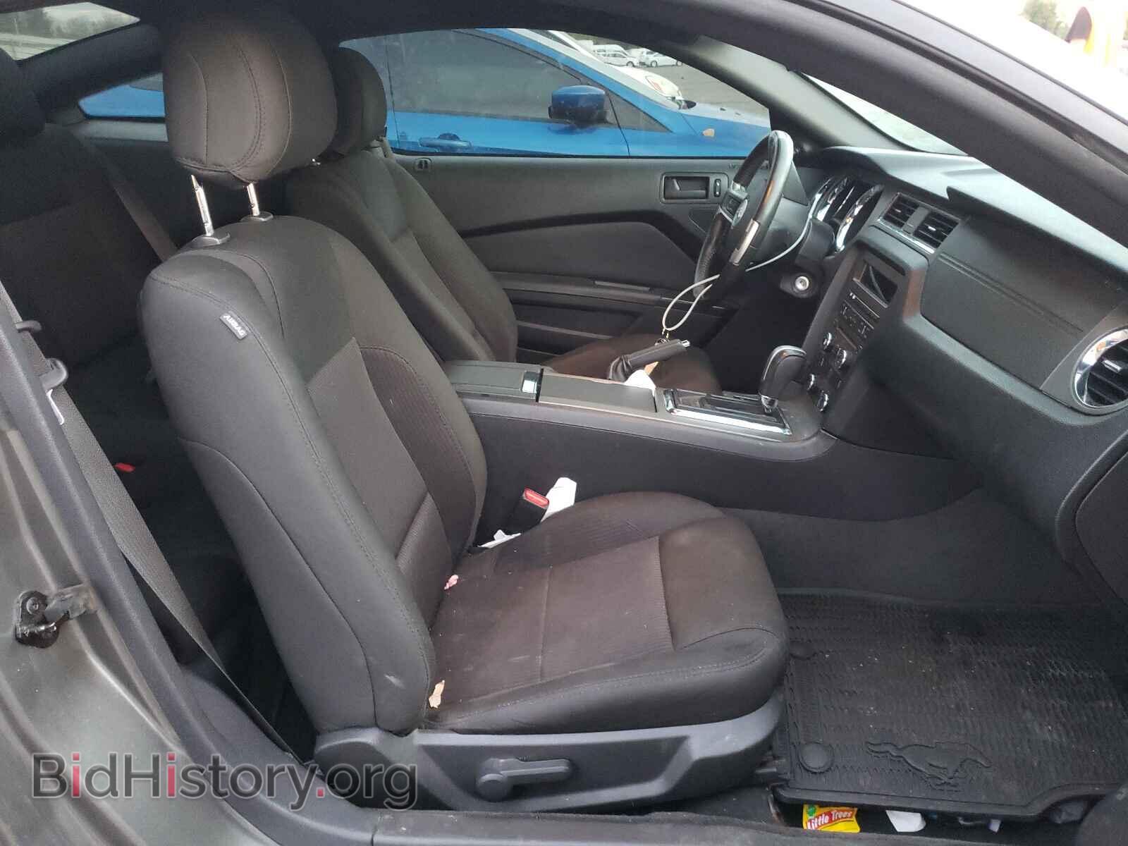 2014 FORD MUSTANG - VIN: 1ZVBP8AM8E5283307 - Фото 5