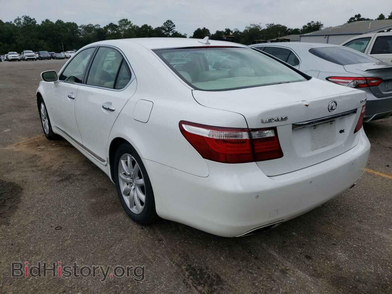 2007 LEXUS LS460 - VIN: JTHBL46F075004497 - Фото 3