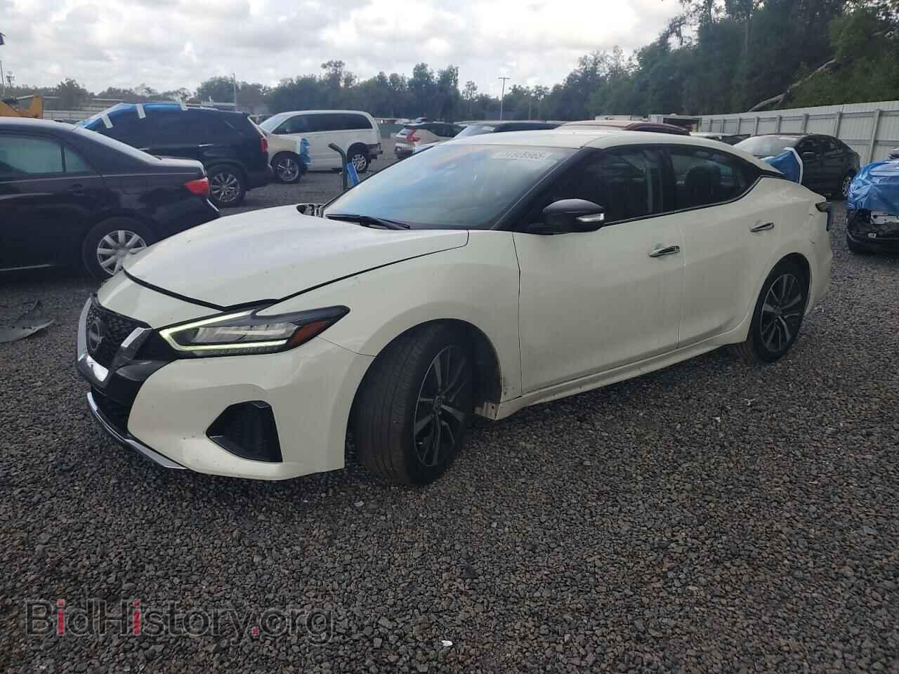 Фотография 1N4AA6CV8PC511191 - NISSAN MAXIMA 2023