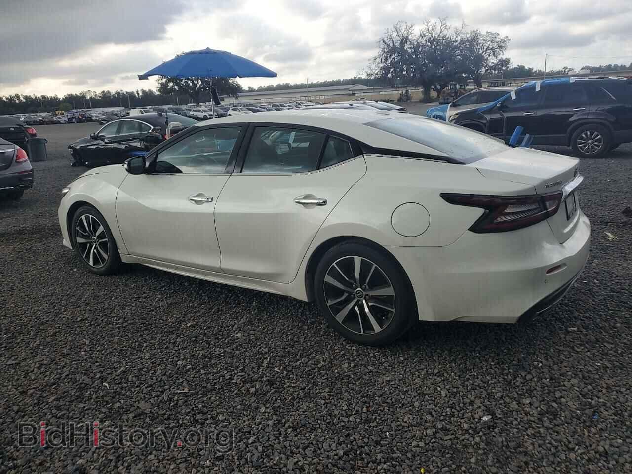2023 NISSAN MAXIMA - VIN: 1N4AA6CV8PC511191 - Фото 2