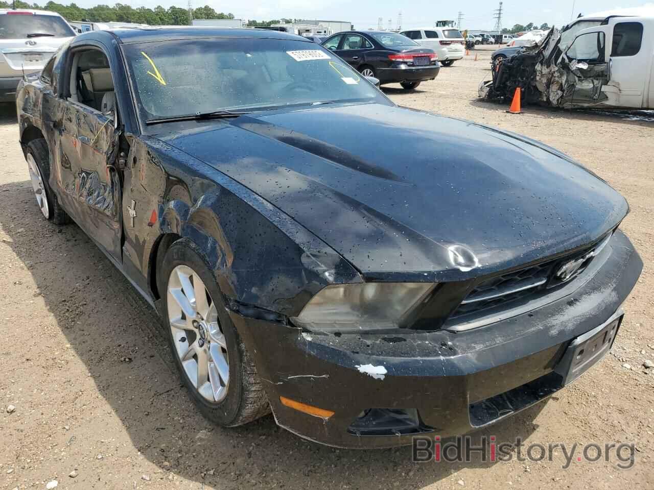 Photo 1ZVBP8AN5A5159093 - FORD MUSTANG 2010
