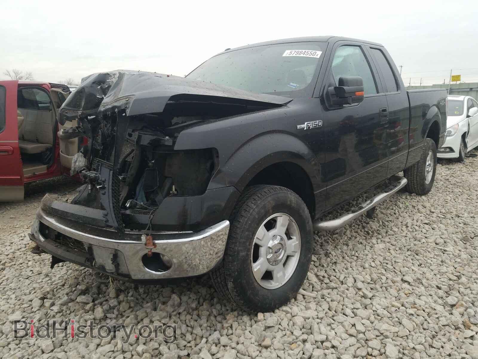 2011 FORD F150 - VIN: 1FTFX1EF1BFB47355 - Фото 2