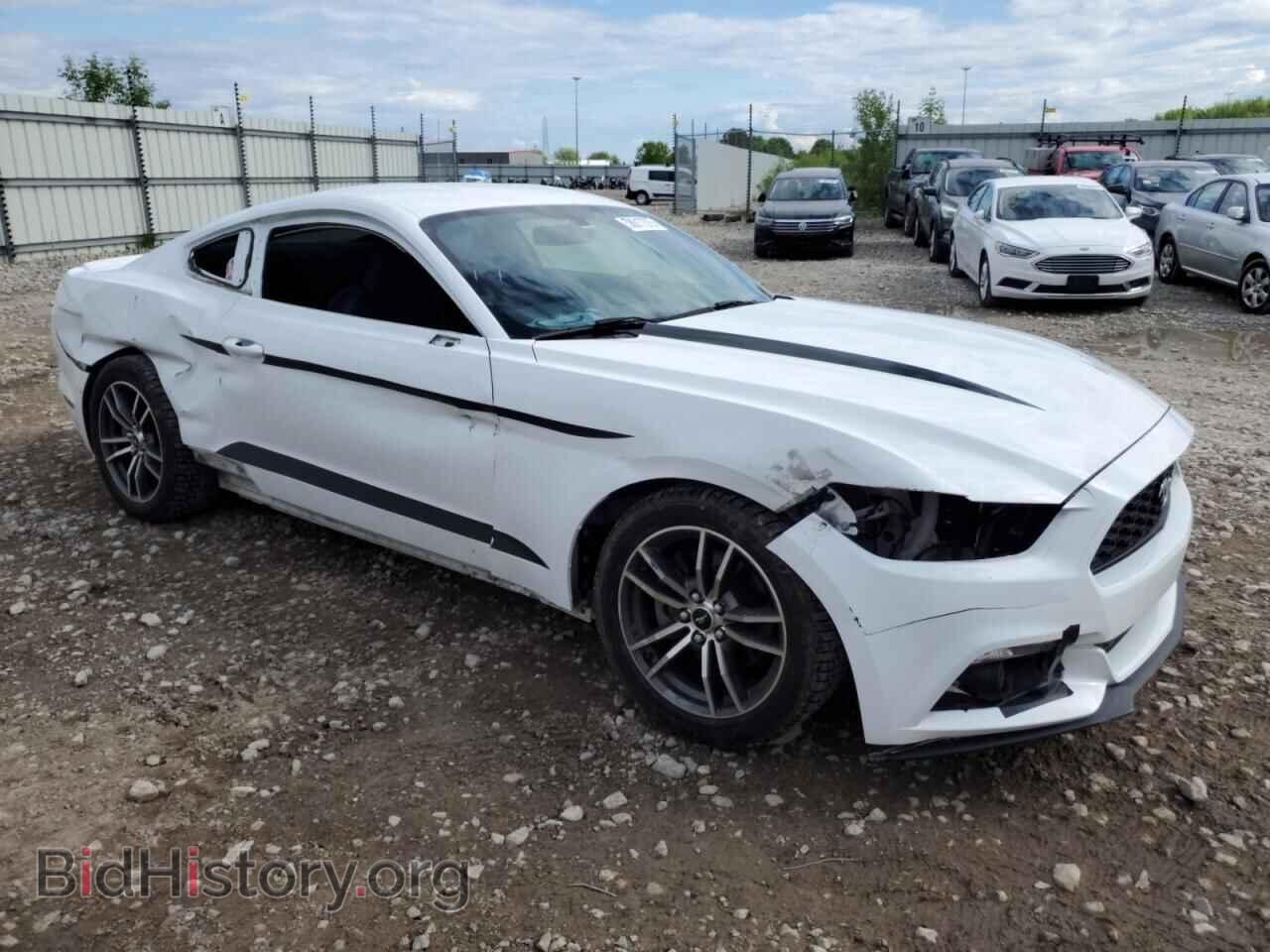 2017 FORD ALL Models - VIN: 1FA6P8TH5H5309070 - Фото 4