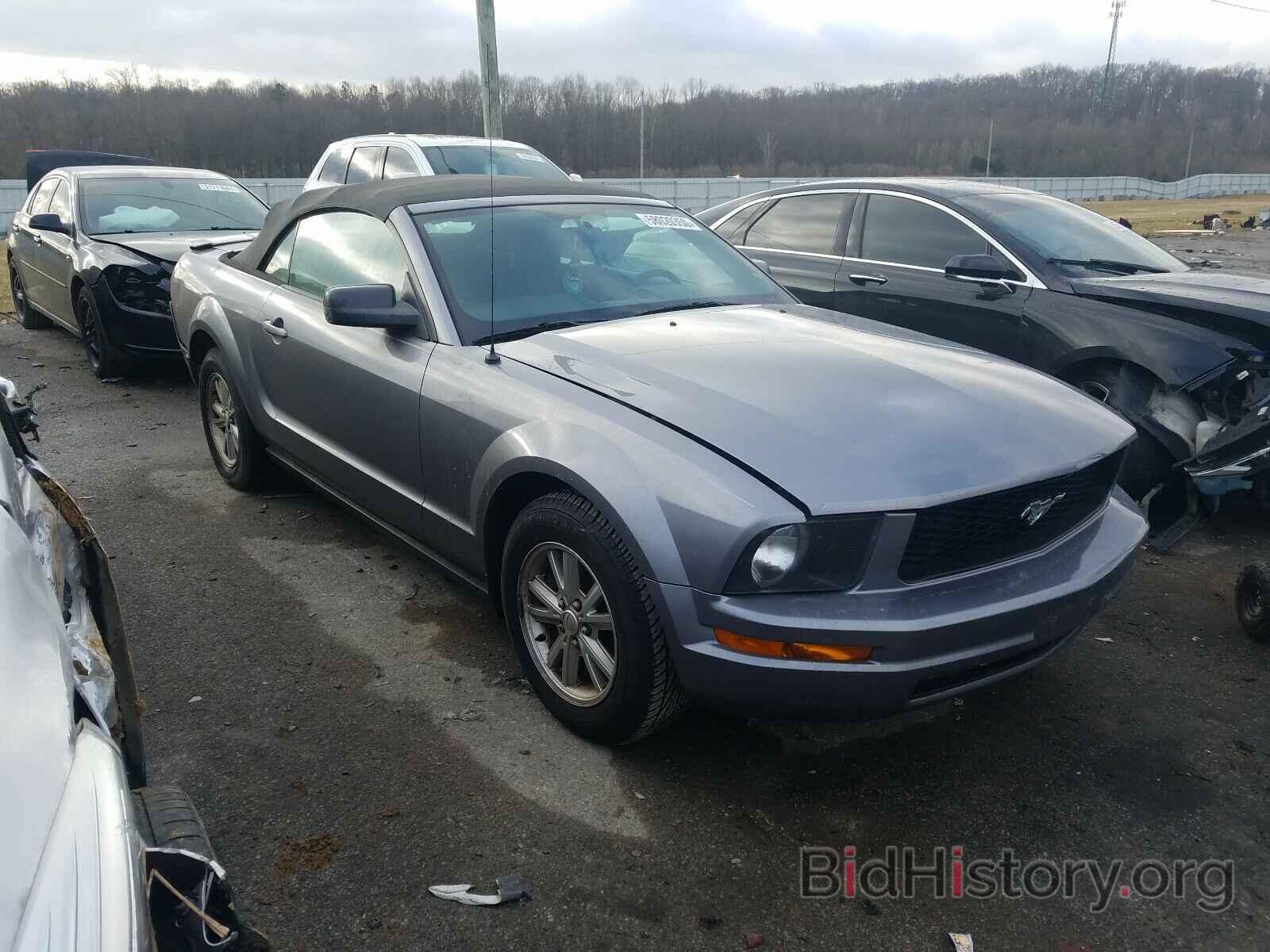 Photo 1ZVFT84N275321778 - FORD MUSTANG 2007