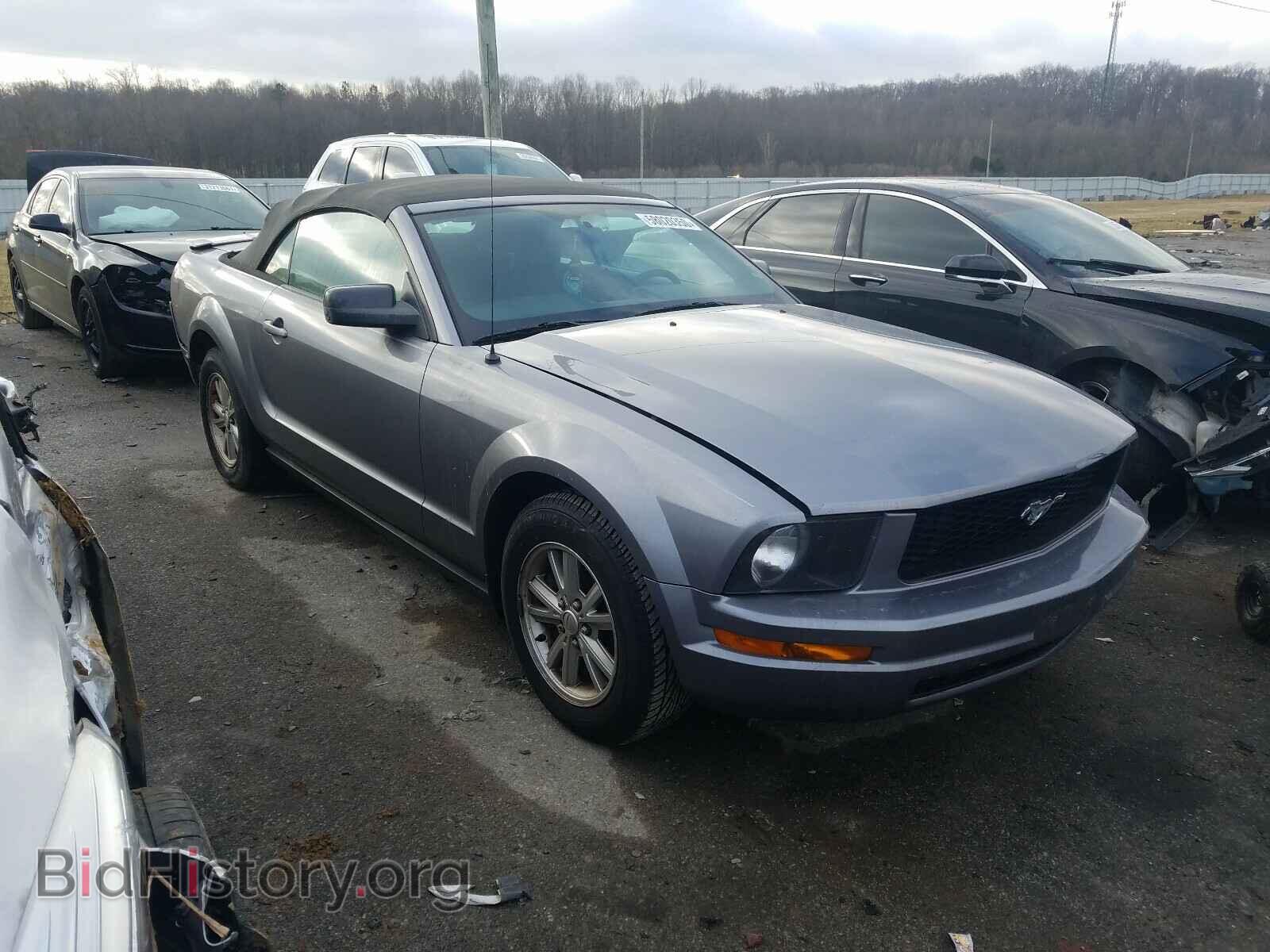 Фотография 1ZVFT84N275321778 - FORD MUSTANG 2007