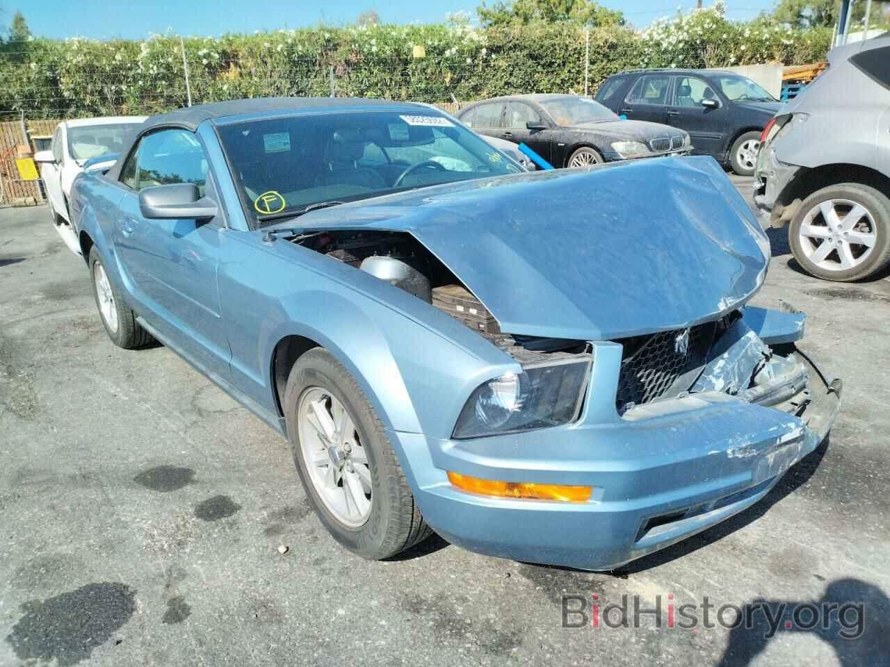 Photo 1ZVFT84N365166320 - FORD MUSTANG 2006