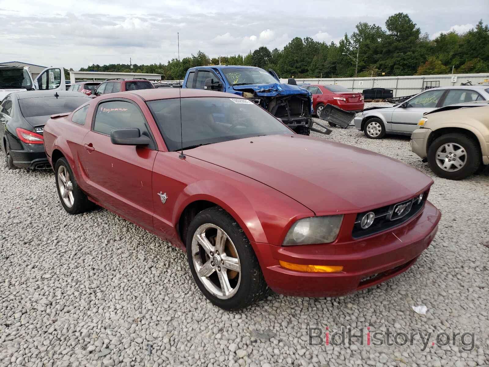 Photo 1ZVHT80N595143978 - FORD MUSTANG 2009