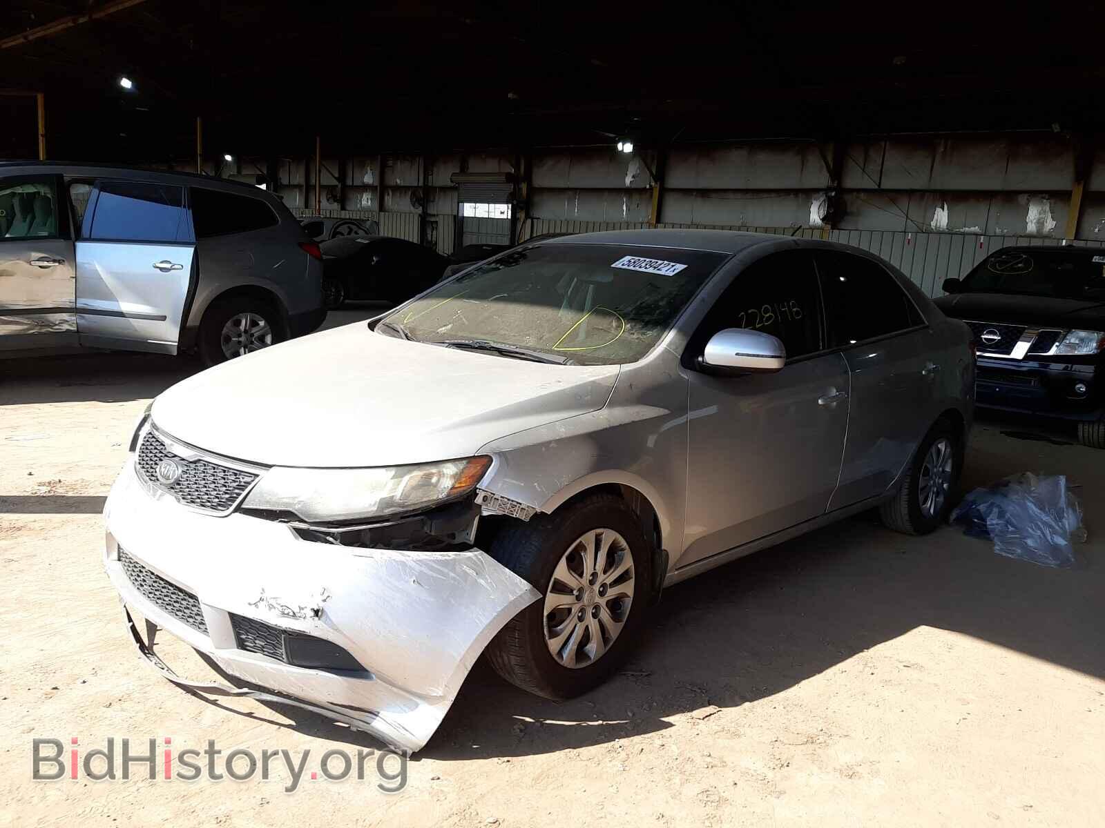 2011 KIA FORTE - VIN: KNAFU4A25B5449117 - Фото 2