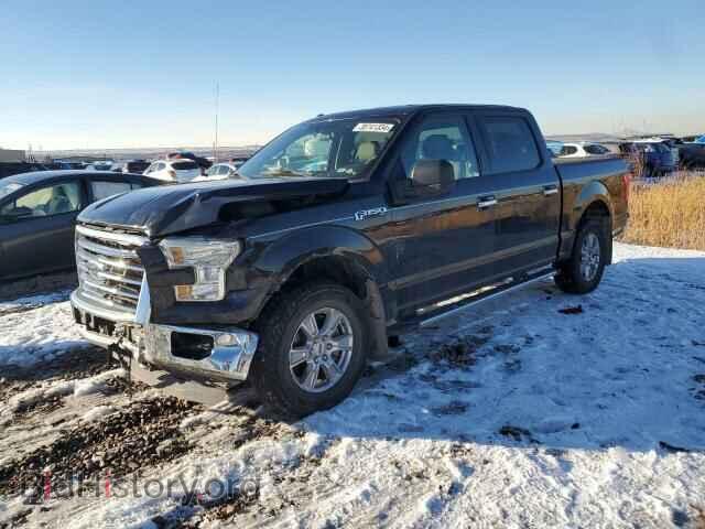 Фотография 1FTEW1E89FFC00471 - FORD F-150 2015