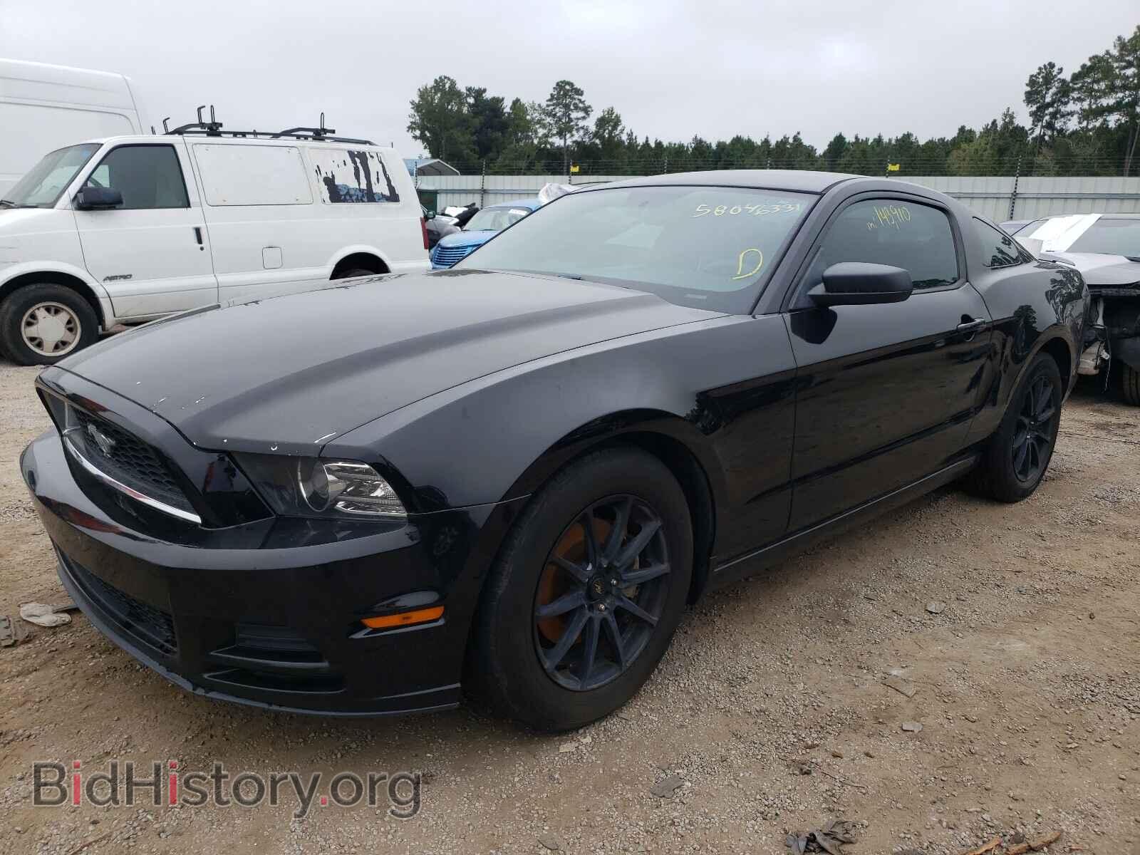 2013 FORD MUSTANG - VIN: 1ZVBP8AM5D5270576 - Фото 2